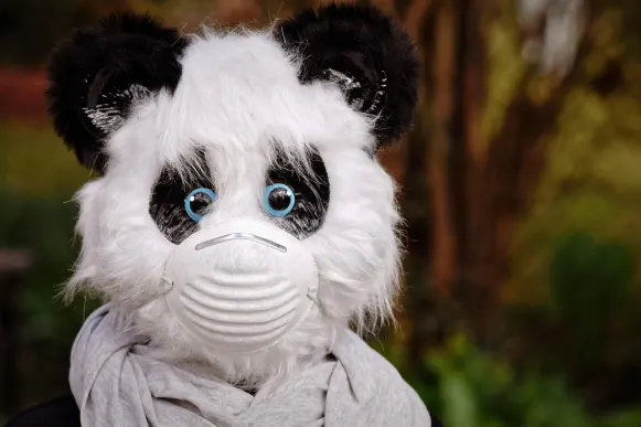 Προντο Καζίνο Υποστηριξη